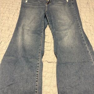 Lane Bryant Blue Flare Jeans 2 pairs